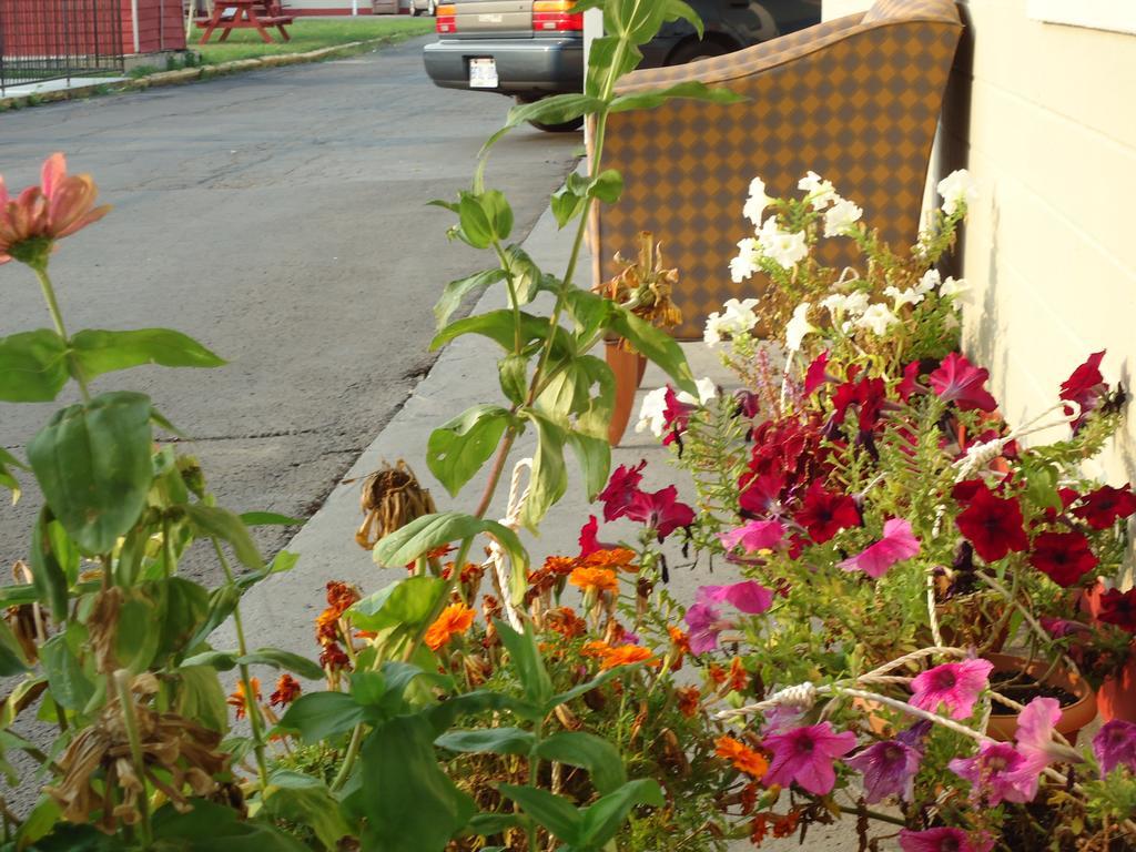 Star Inn By Elevate Rooms Niagara Bagian luar foto